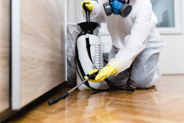 Wasp Removal Services in Blue Hills, CT