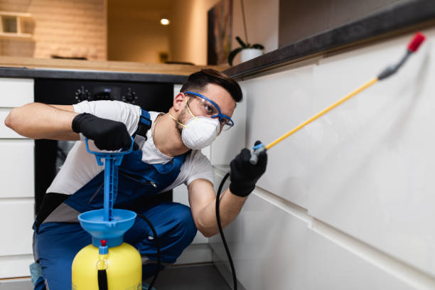 Best Local Pest Control Services  in Blue Hills, CT
