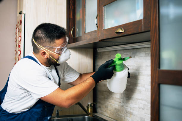 Best Affordable Pest Control Services  in Blue Hills, CT