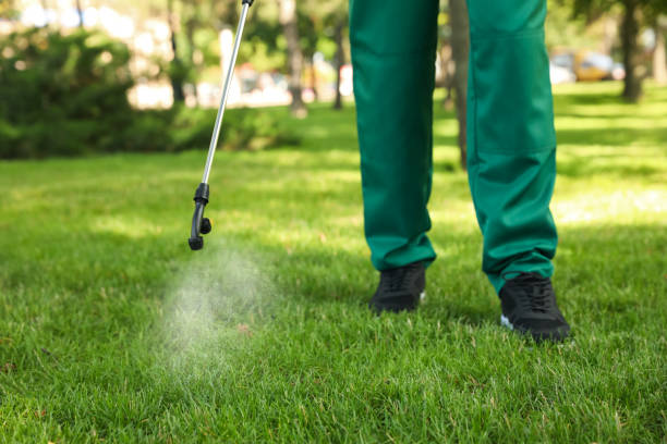 Best Pest Removal Services  in Blue Hills, CT