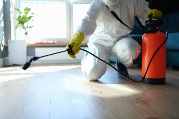 Best Local Pest Control Services  in Blue Hills, CT