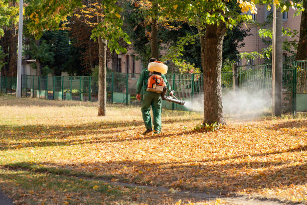 Best Pest Inspection Near Me  in Blue Hills, CT