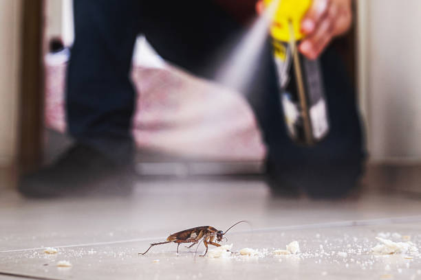 Best Pest Control Near Me  in Blue Hills, CT